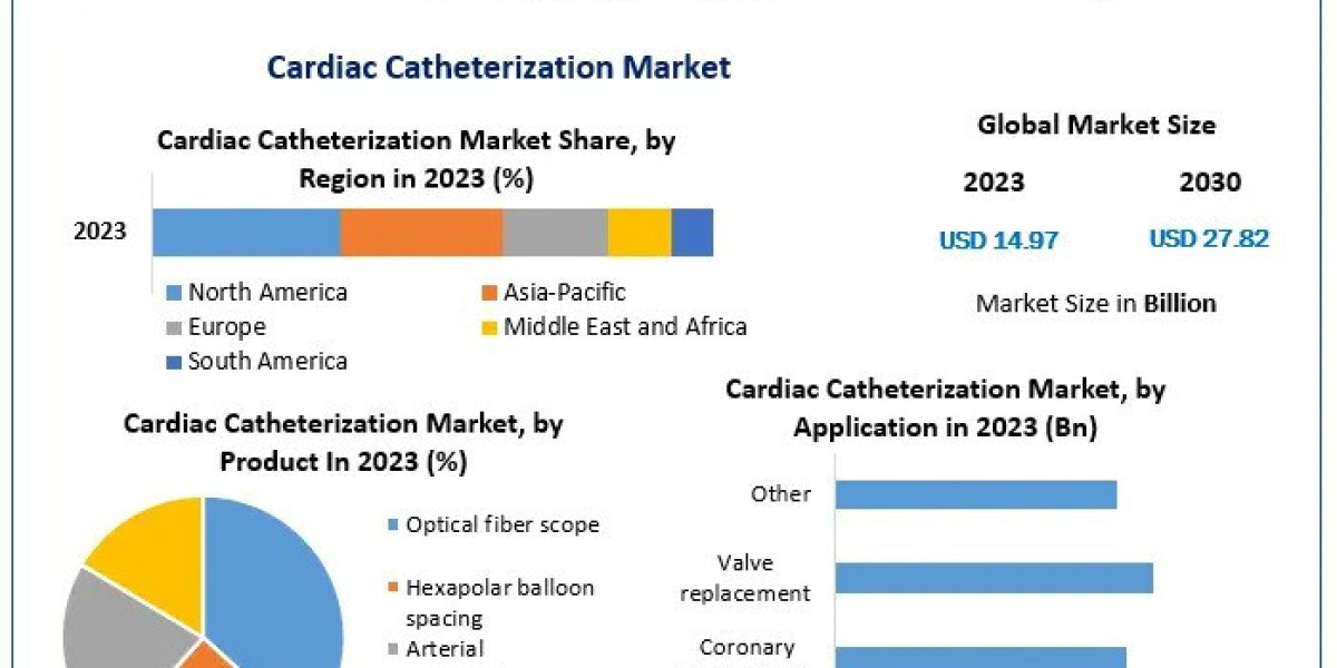 Cardiac Catheterization Market Segmentation and Analysis 2024-2030
