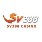 SV388 profile picture