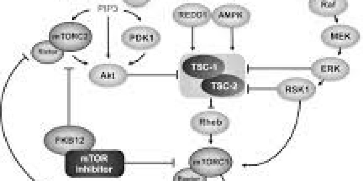 Tyrosine Kinase JAK Inhibitors Market Report, Latest Trends, Industry Opportunity & Forecast to 2032