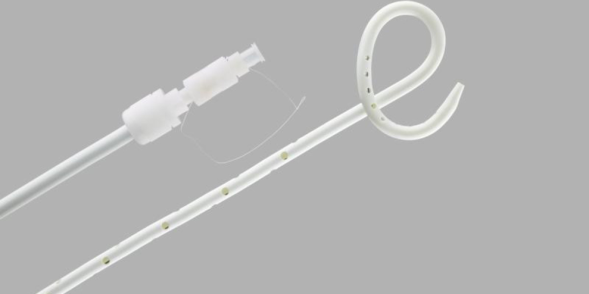 Biliary Catheters Market Size, Competitors Strategy, Regional Analysis and Forecast by 2031