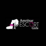 Amritsar Escort profile picture