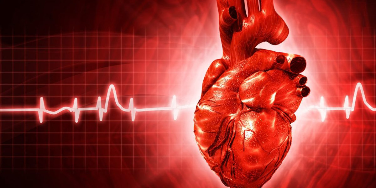 Global Electrophysiology Market | Industry Analysis, Trends & Forecast to 2032