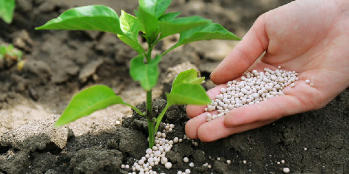 Fertilizer Market Outlook (2024-2031)