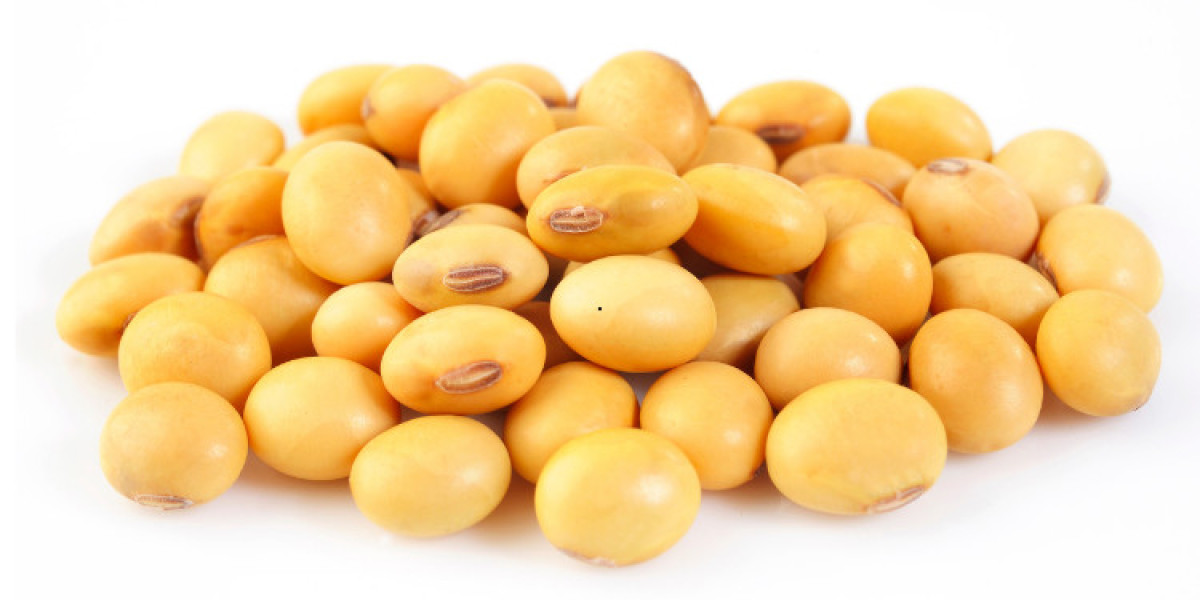 Soybean Market will be US$ 245.89 Billion by 2032