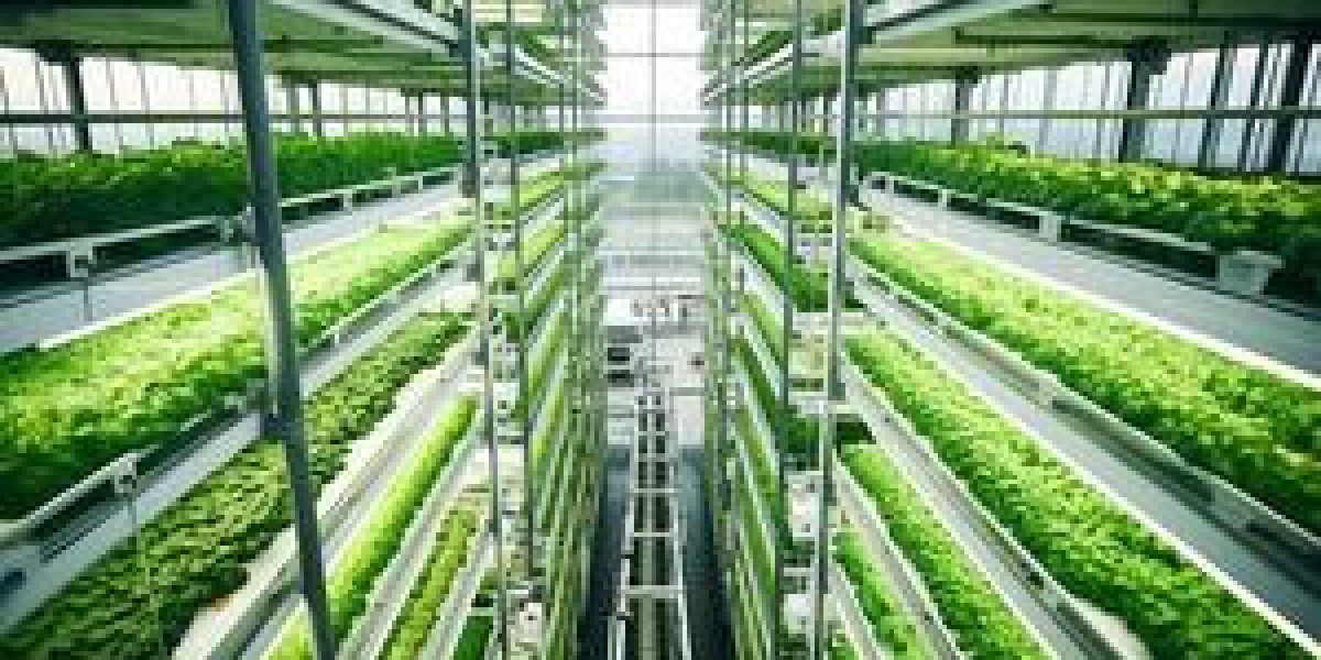 Vertical Farming Market Size, Share, Challenges and Growth Analysis Report 2035