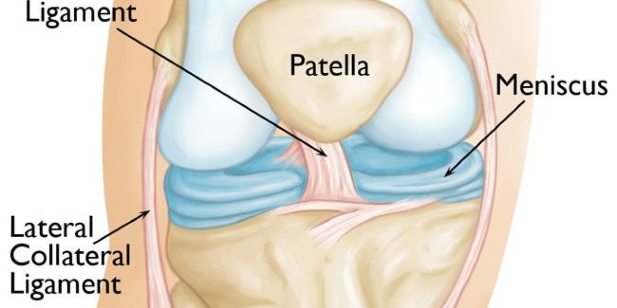 Global Knee Cartilage Repair Market Report, Latest Trends, Industry Opportunity & Forecast to 2032