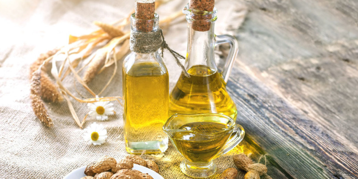 Groundnut Oil Manufacturing Plant Cost 2024: Project Report, Manufacturing Process, Comprehensive Business Plan