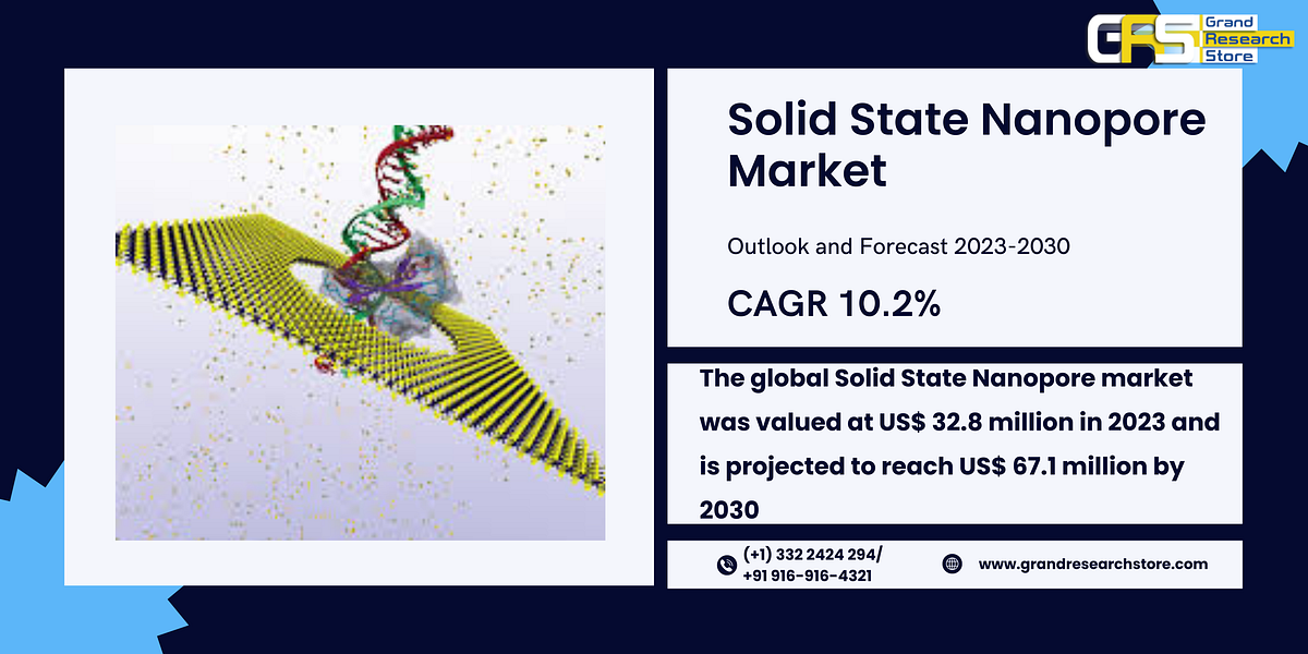 Solid State Nanopore Market, Global Outlook and Forecast 2024–2030 | by Naikdipti | Jul, 2024 | Medium