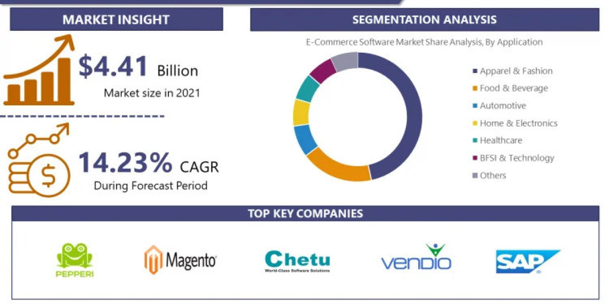 E-Commerce Software Market Navigating the Market Landscape: Size, Growth, and Share