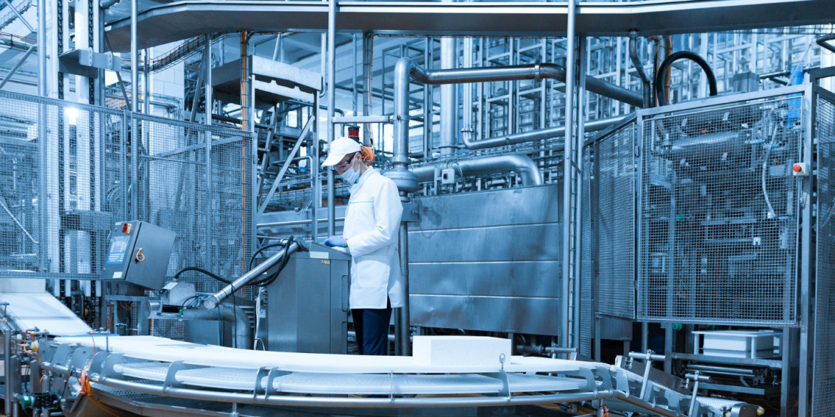 Seafood Processing Equipment Market Size, Share, Growth and Trends, Report 2024-2031