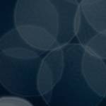 LisaMadison profile picture