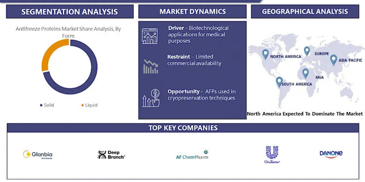 Antifreeze Proteins Market Size, Projections: A Comprehensive Outlook and Forecast by 2030 | IMR