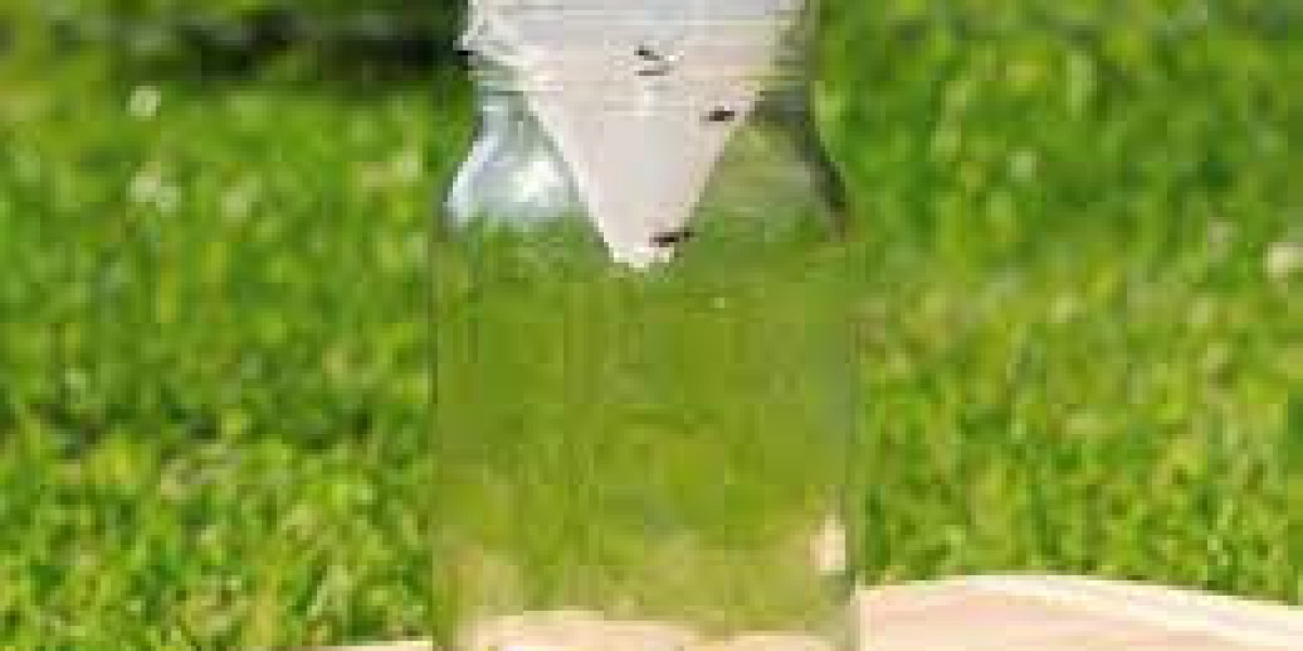 Flies Repellent Market Size, Growth, Industry Demand and Forecast Report to 2032