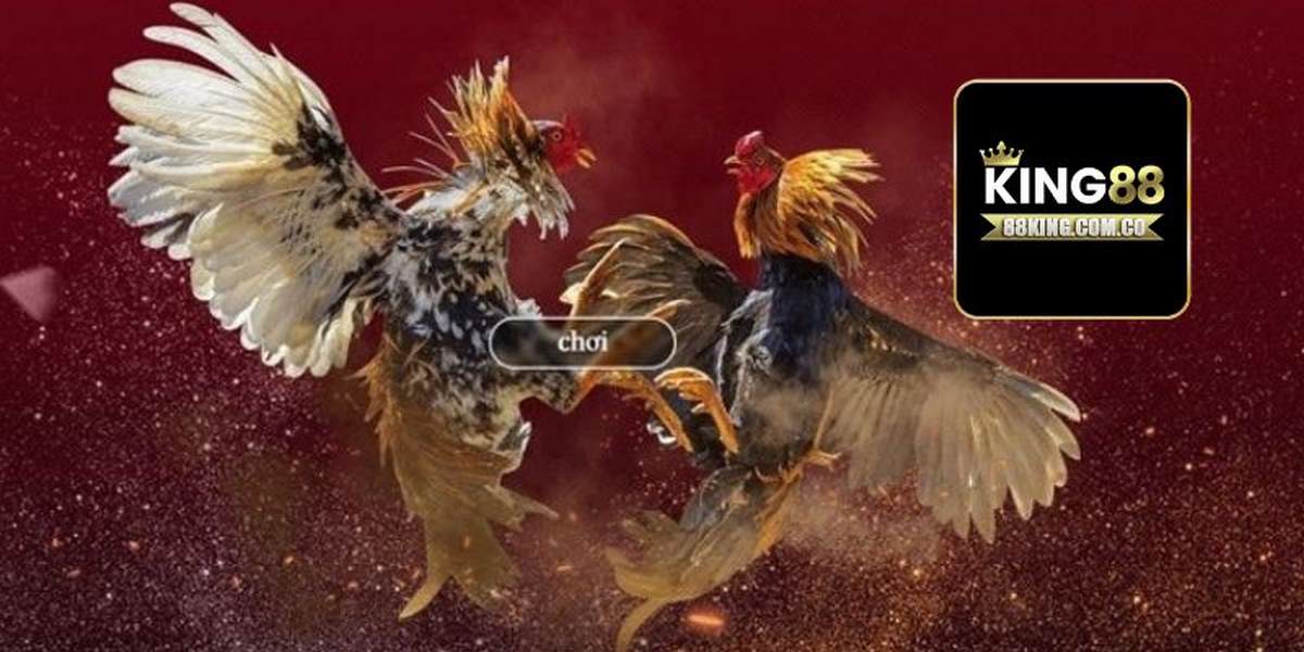 Hướng dẫn cách xem đá gà trực tuyến Campuchia King88