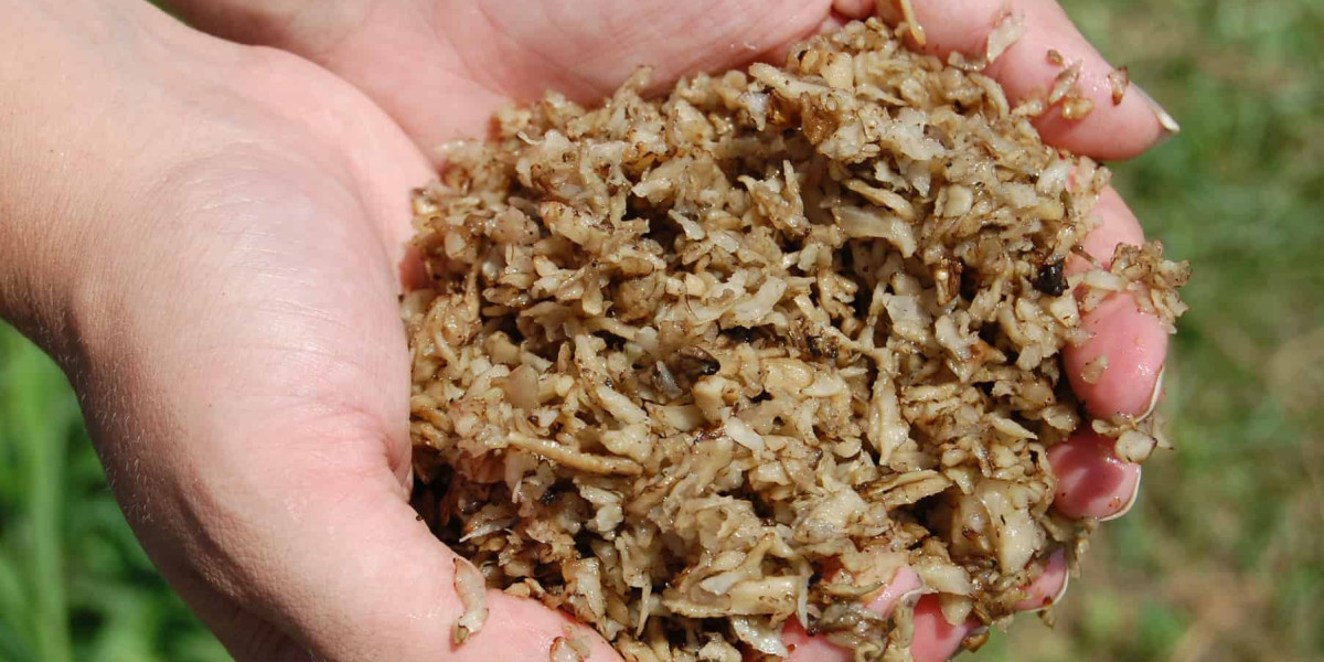 Beet Pulp Market Share, Global Industry Analysis Report 2023-2032