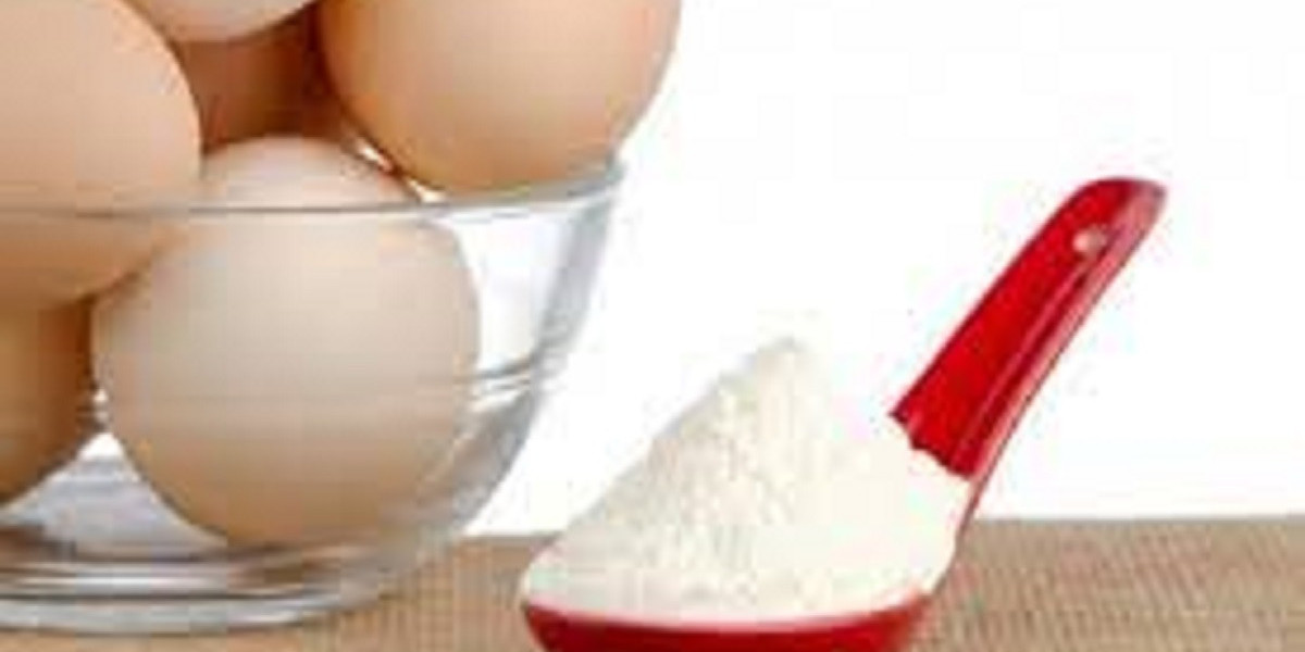 Global Phospholipase Enzyme Market: Detailed Analysis by Latest Trends, Demand Report to 2032