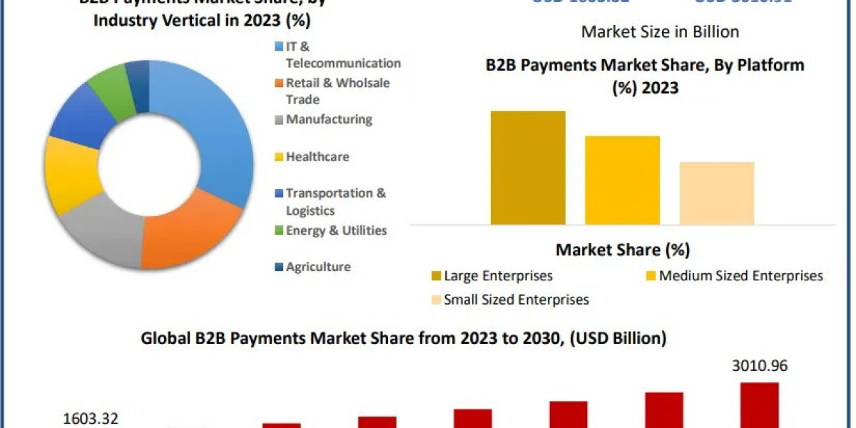 B2B Payments Market: Global Trends and Forecast (2024-2030) - Industry Analysis, Statistics, and Segmentation