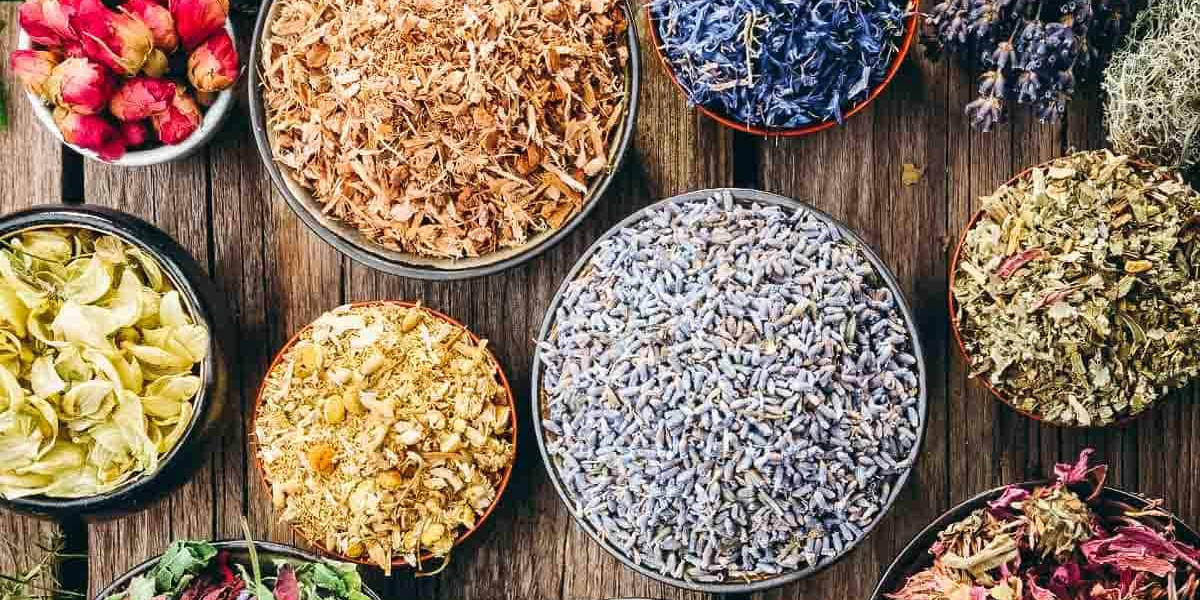 Dried Herbs Market Outbreak: Key Trends, Growth, Insights and Forecast Report to 2032