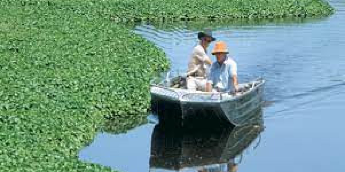 Aquatic Herbicides Market Strategy, Segmentation Analysis and Forecast Report to 2032