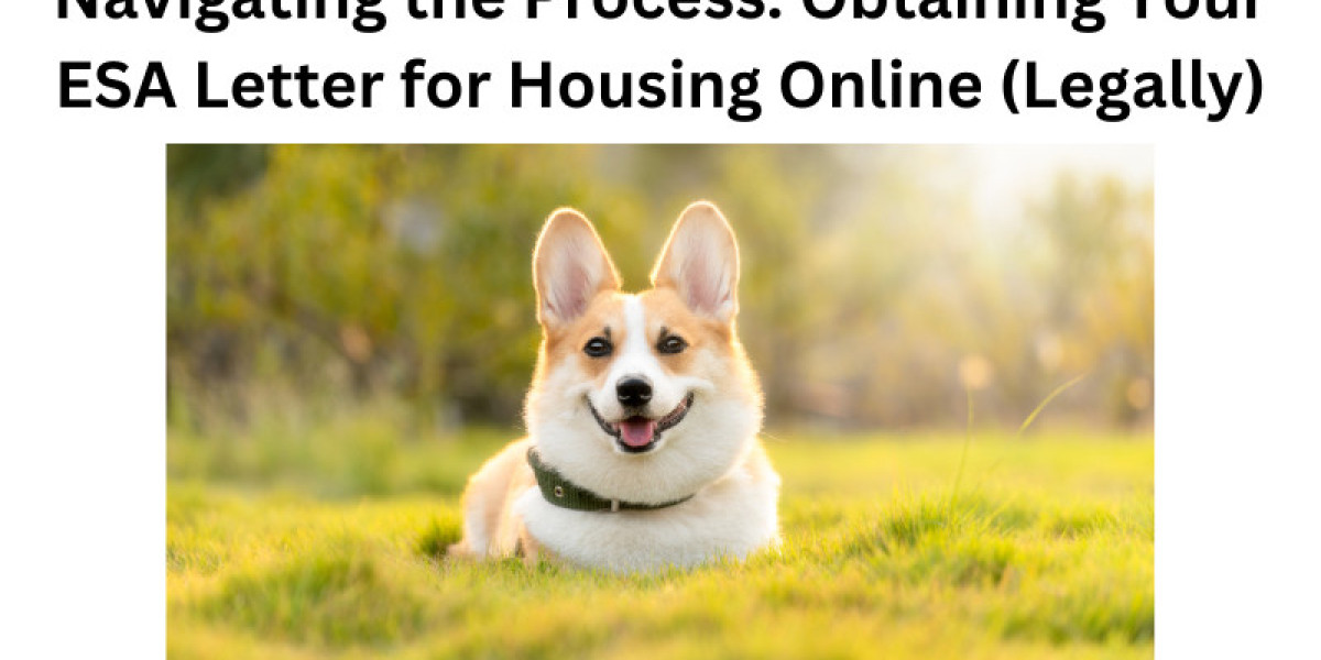 Navigating the Process: Obtaining Your ESA Letter for Housing Online (Legally)