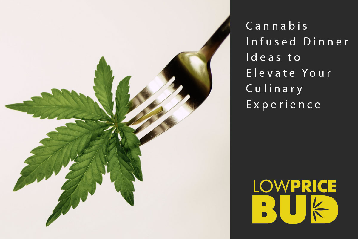 Cannabis Infused Dinner Ideas to Elevate Your Culinary Experience - Low Price Bud