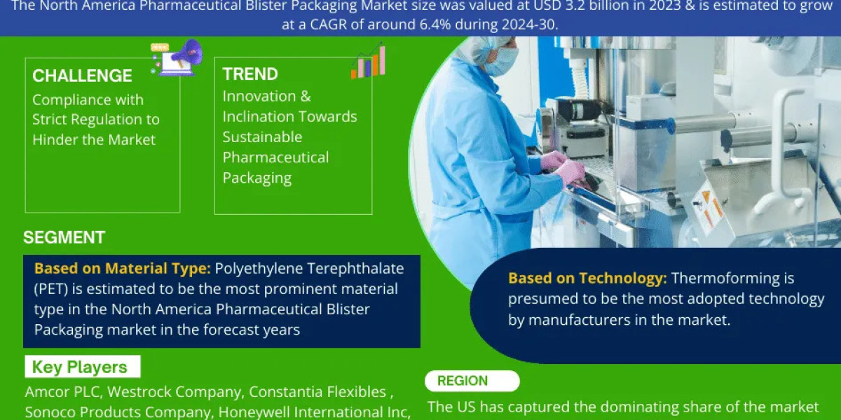 North America Pharmaceutical Blister Packaging Market Scope, Size, Share, Growth Opportunities and Future Strategies 203