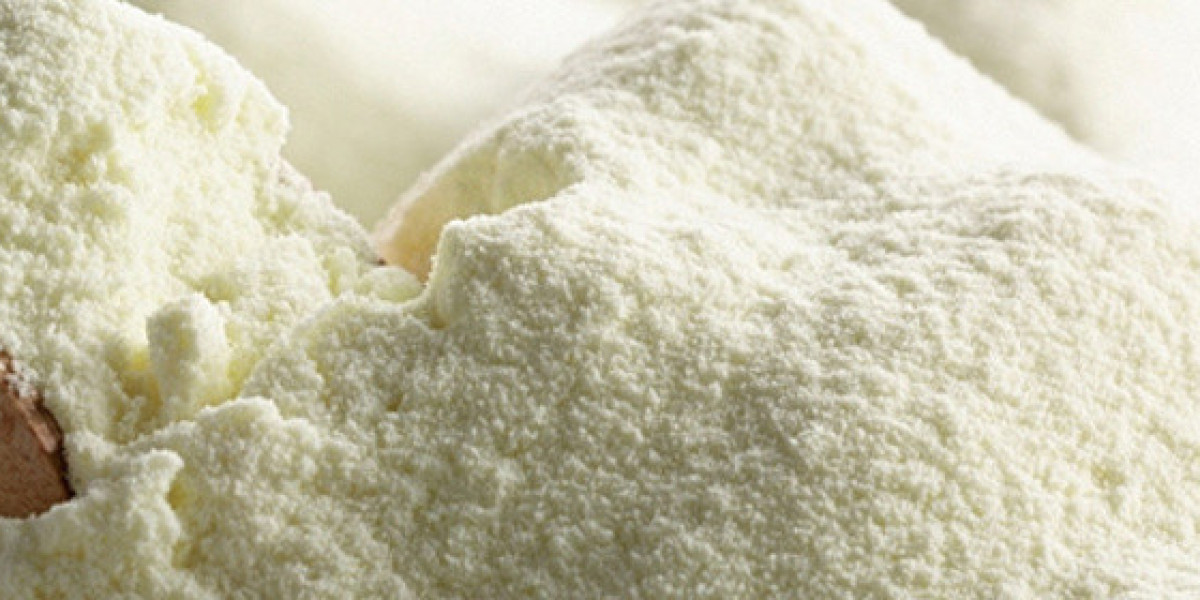 Milk Powder Manufacturing Plant 2024: Project Report, Cost and Raw Materials Requirement