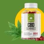 CannaPlus Gummies Profile Picture