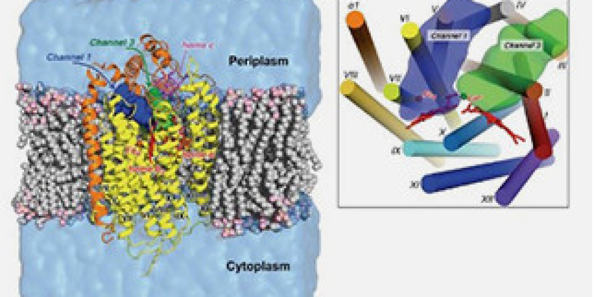 The Rise of AI in Biomaterials Innovation   