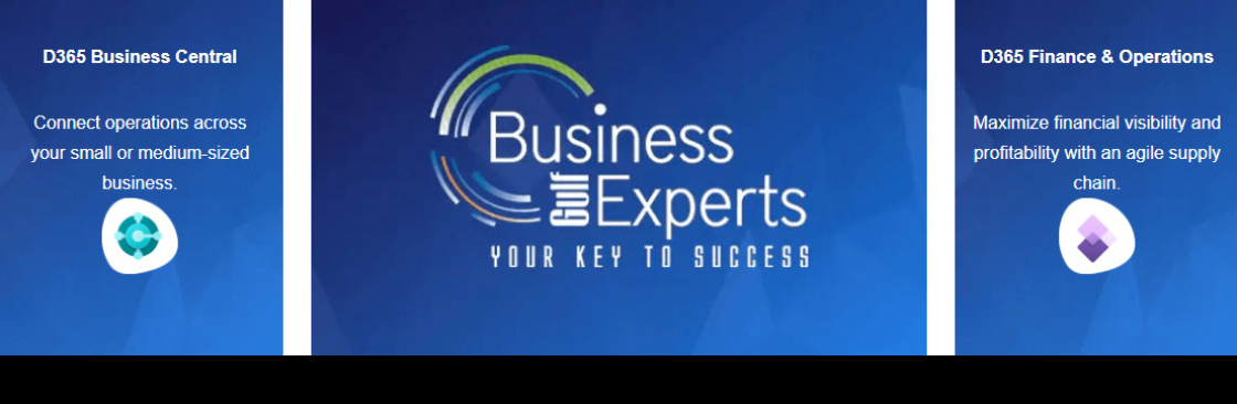 Business LLC Cover Image