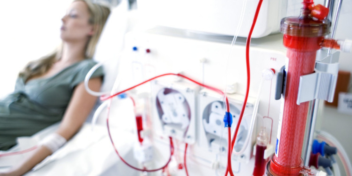 Global Dialysis Market And Global Forecast Report 2024-2032