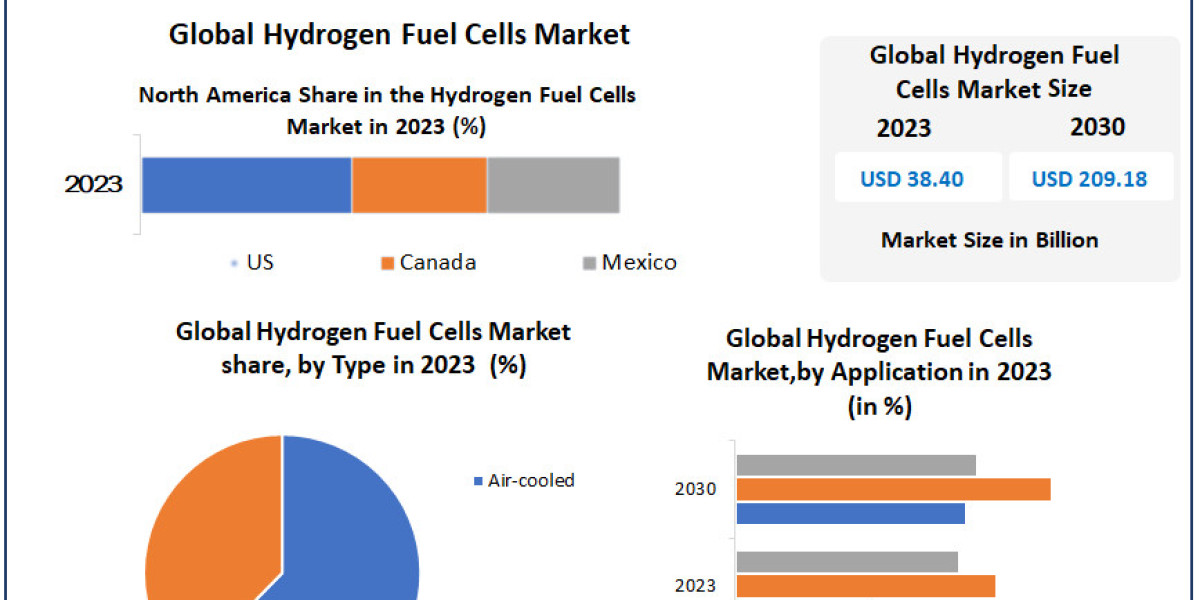 Hydrogen Fuel Cells Market Beyond 2066: Industry Outlook, Size, and Growth Forecast 2024-2030