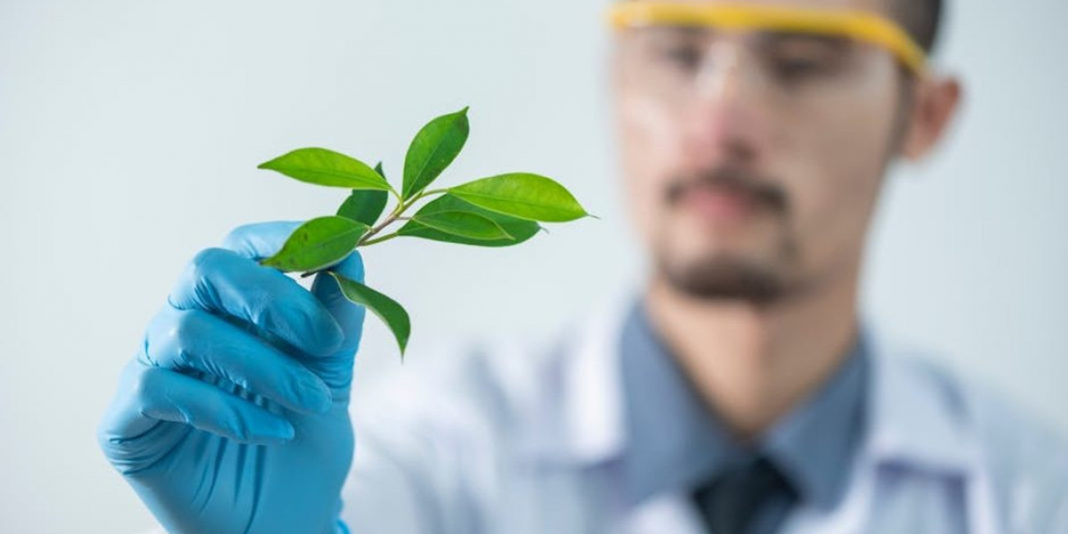Environmental Health & Safety System Market Size, Industry Research Report 2023-2032