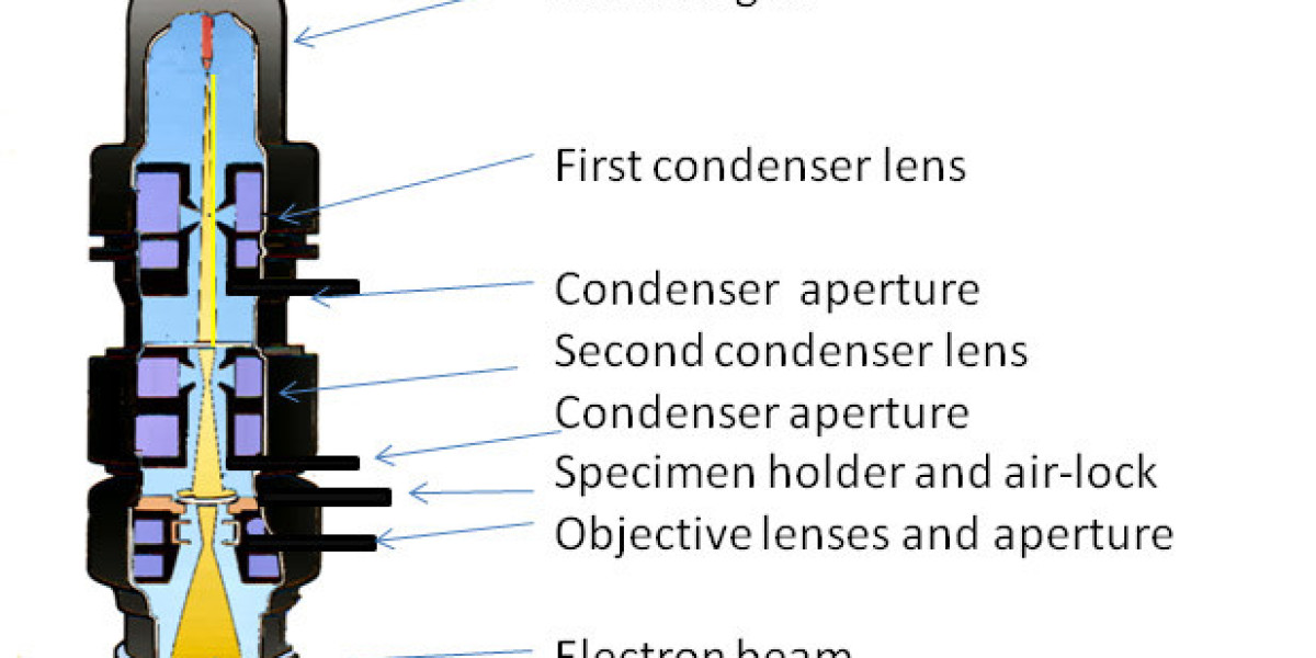 Transmission Electron Microscope Market Size, Regional Analysis and Forecast by 2031