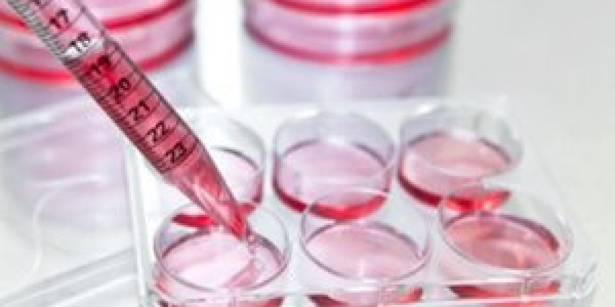 Low Endotoxin Gelatin Market Size, Industry Research Report 2023-2032