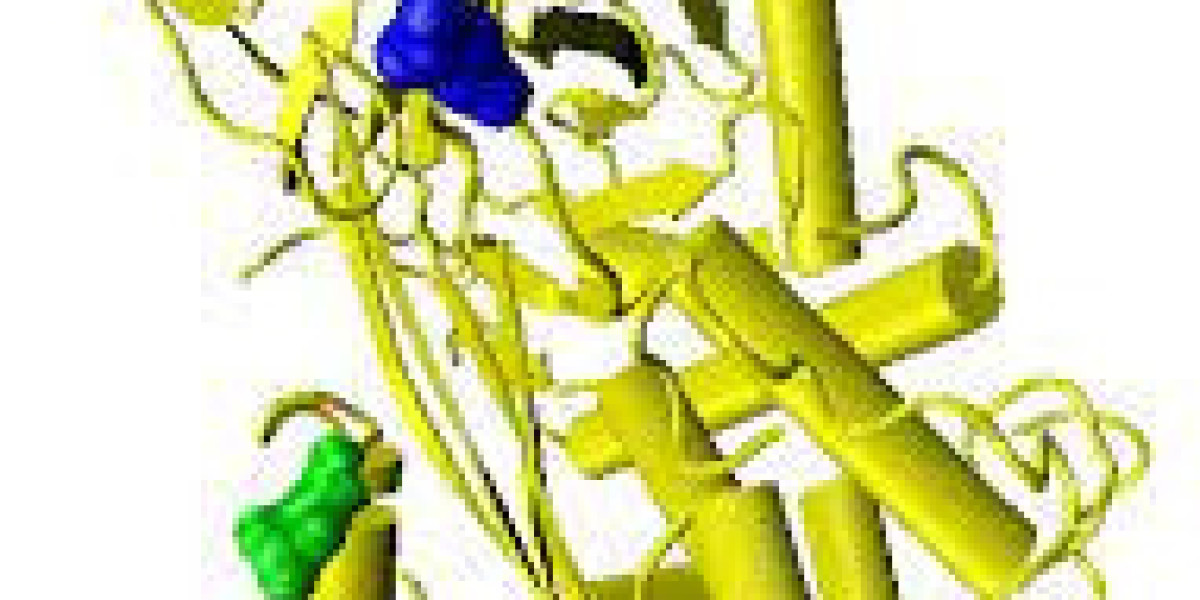 Antithrombin Market Research Report: Global Industry Overview Report to 2032