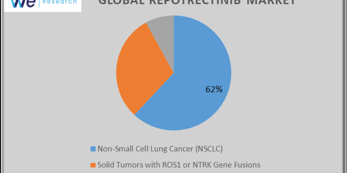 Repotrectinib Market Demand, Key Growth, Opportunities, Development and Forecasts to 2024-2034