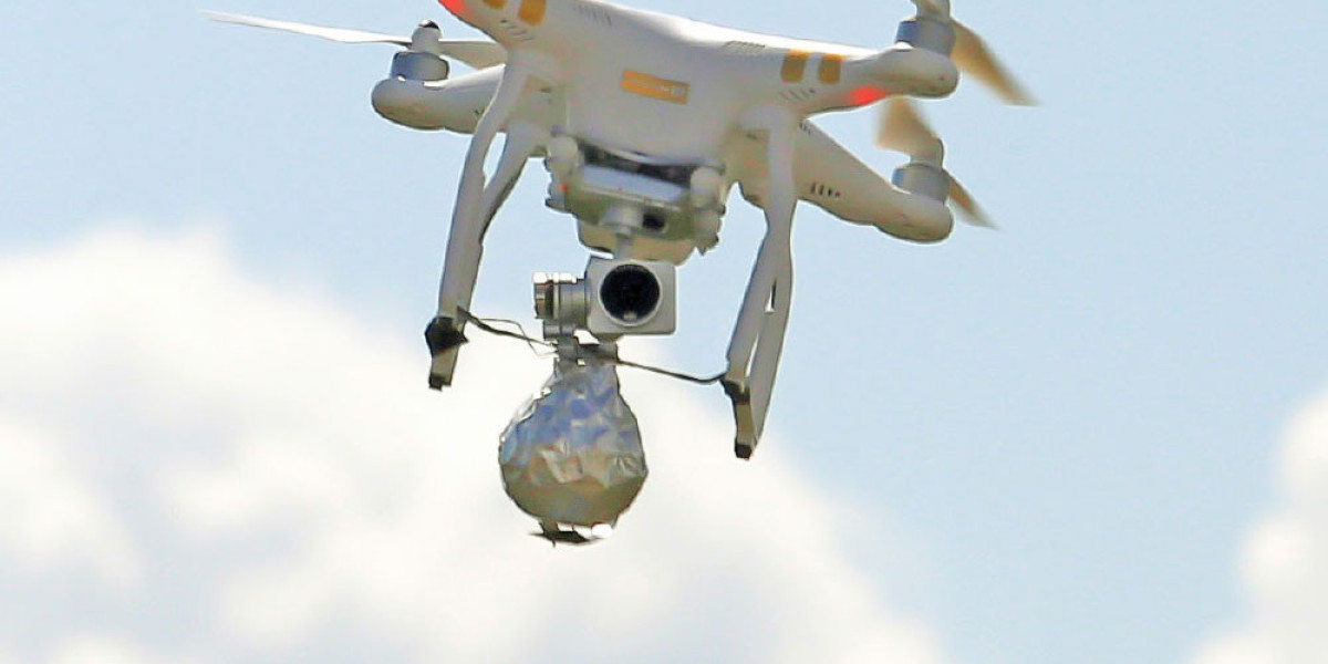 Global Anti Drone Market Outlook (2024-2031)