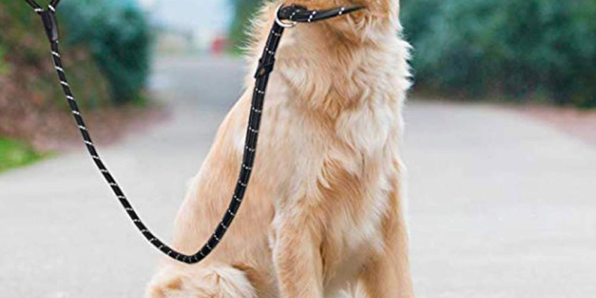 Dog Leash Market Overview, Scope, Trends and Forecast by 2031