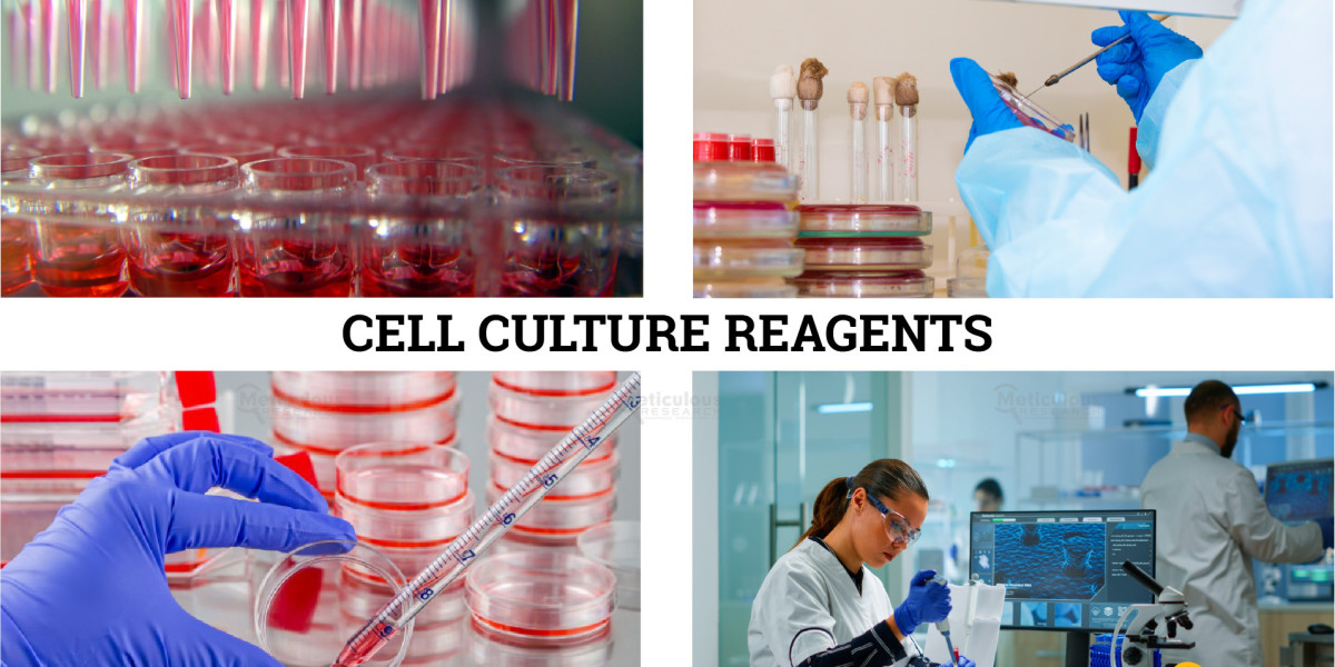 Rising Demand and Innovation Propel Cell Culture Reagents Market Toward $11.04 Billion by 2029