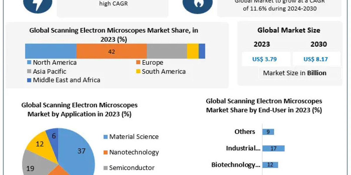 Scanning Electron Microscopes Market Illuminating the Path: Industry Outlook, Size, and Growth Forecast 2024-2030