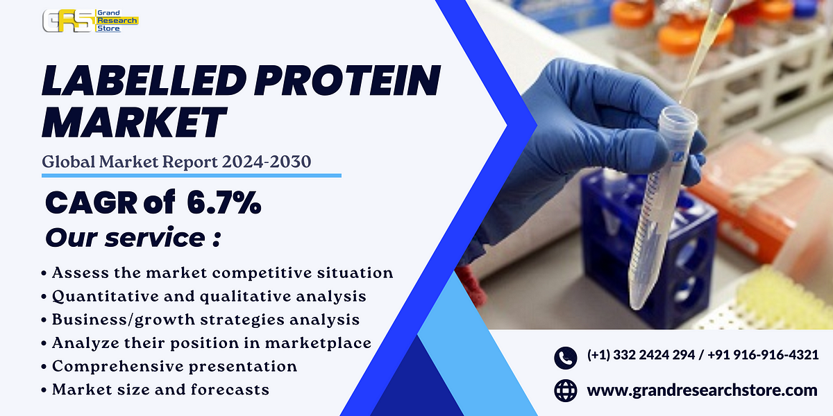 Labelled Protein Market, Global Outlook and Forecast 2024–2030 | by Naikdipti | Aug, 2024 | Medium