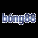 BONG88 Casino profile picture