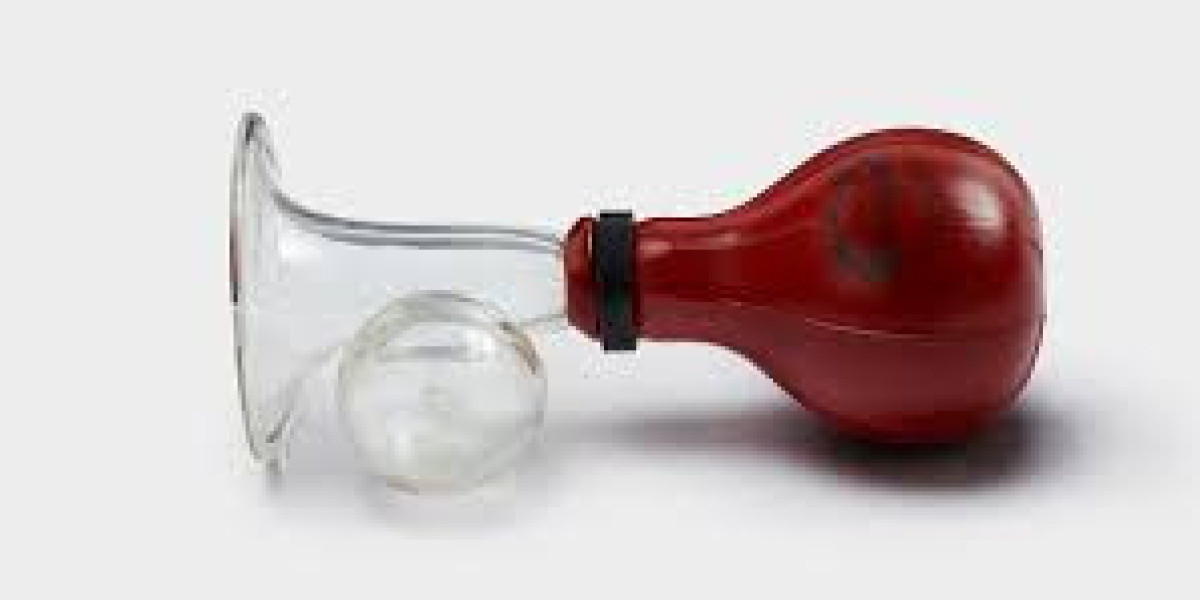 Breast Pump Market Share, Revenue and Growth Analysis Report Till 2032