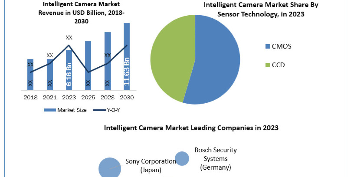 Intelligent Camera Market Overview by Global Development and Growth 2024-2030