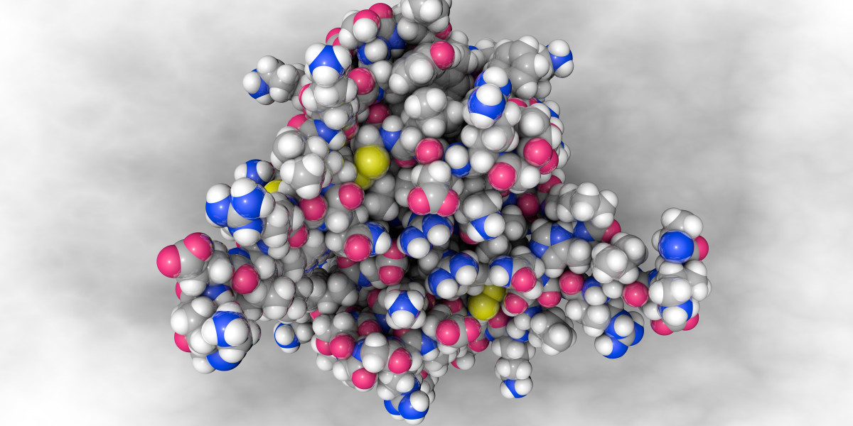 Unraveling the Role of Lipids: Insights into Metabolism, Disease, and Environmental Stress Responses