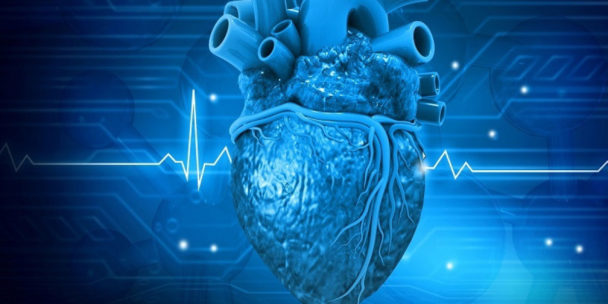 3D Cardiac Mapping System Market Size, Share, Industry, Forecast and Outlook (2024-2031)