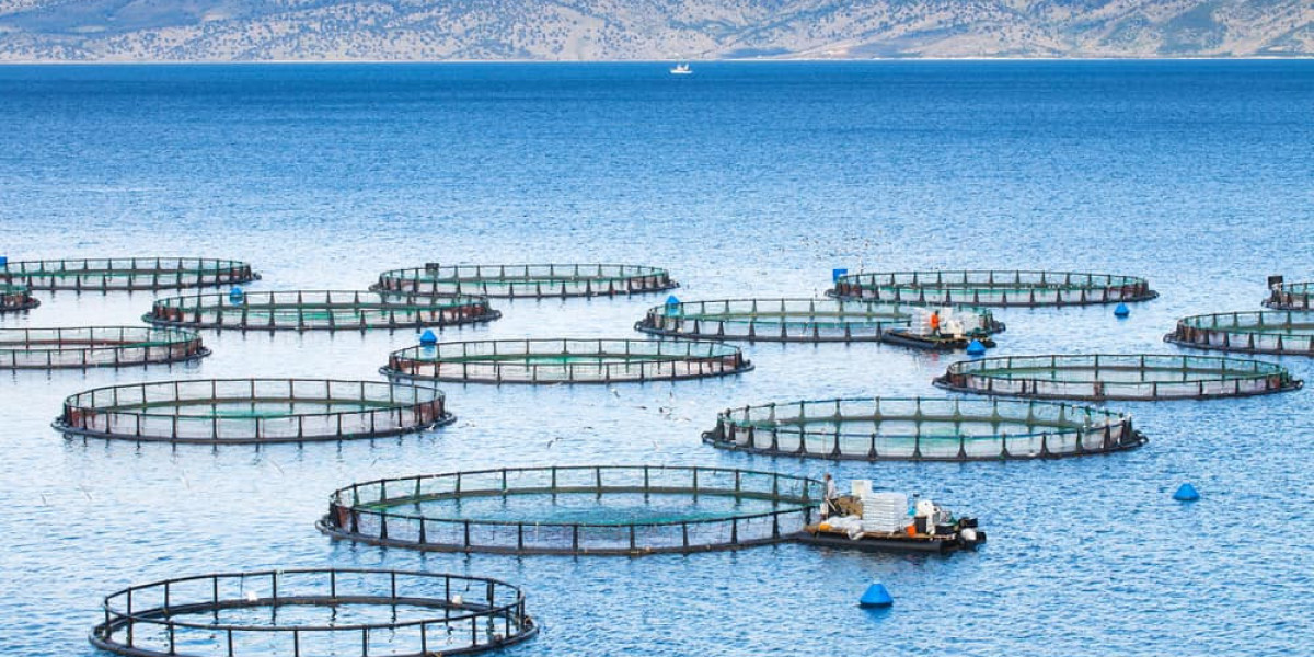 Global Aquaculture Market 2023 | Industry Outlook & Future Forecast Report Till 2032