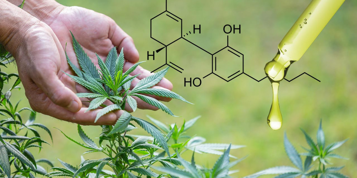 Terpenes Market Size, Share, Growth, Opportunities and Global Forecast Report to 2032