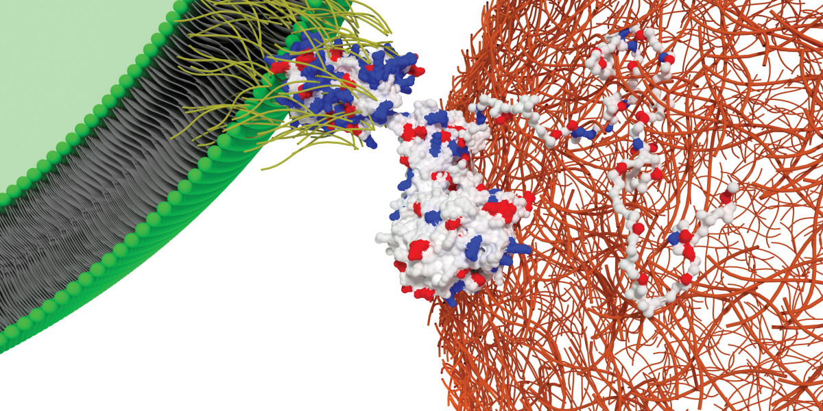 Synthetic Biology Market Size, Key Players & Forecast Report to 2032
